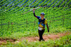 BIB: 
                            <button type="button" onclick="openModal(19163902)" class="btn btn-primary btn-sm float-right btn-popup" data-toggle="modal" data-target=".modal-high-quality">
                        <i class="fas fa-shopping-cart"></i> Add to Cart
                    </button>
                                            <button type="button" onclick="isThisMe(19163902, true)" class="btn btn-success btn-sm float-right btn-popup btn-isme hidden" data-toggle="tooltip" data-placement="bottom" title="นี่คือรูปของคุณใช่ไหม คลิกที่นี่เพื่อเอาเข้าอัลบั้ม">
                        <i class="fas fa-plus"></i> Add to album
                    </button>
                    <button type="button" onclick="isThisMe(19163902, false)" class="btn btn-warning btn-sm float-right btn-popup btn-isnotme hidden">
                        <i class="fas fa-ban"></i> Remove from album
                    </button>